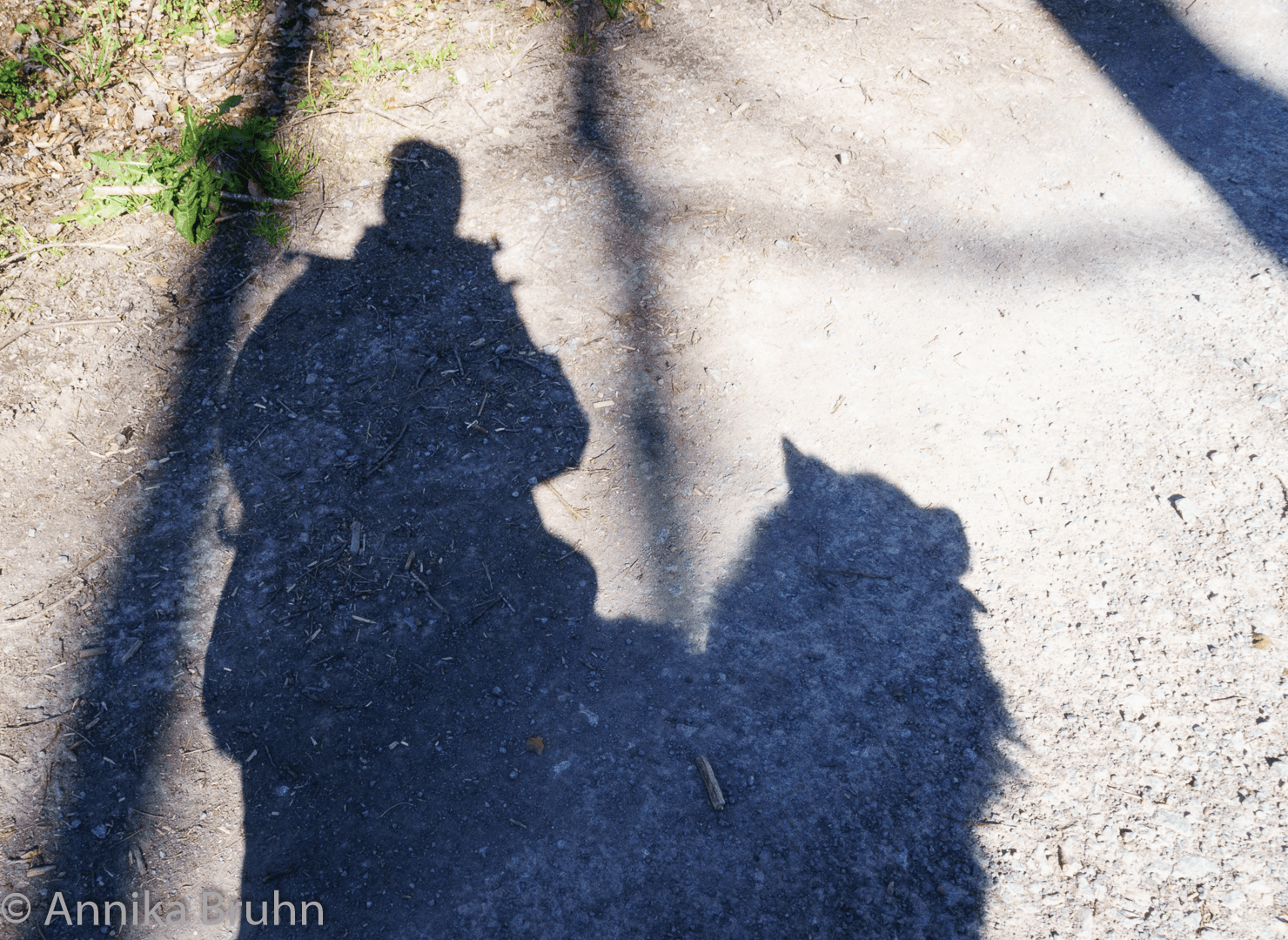 Q und Annikas Silhouette